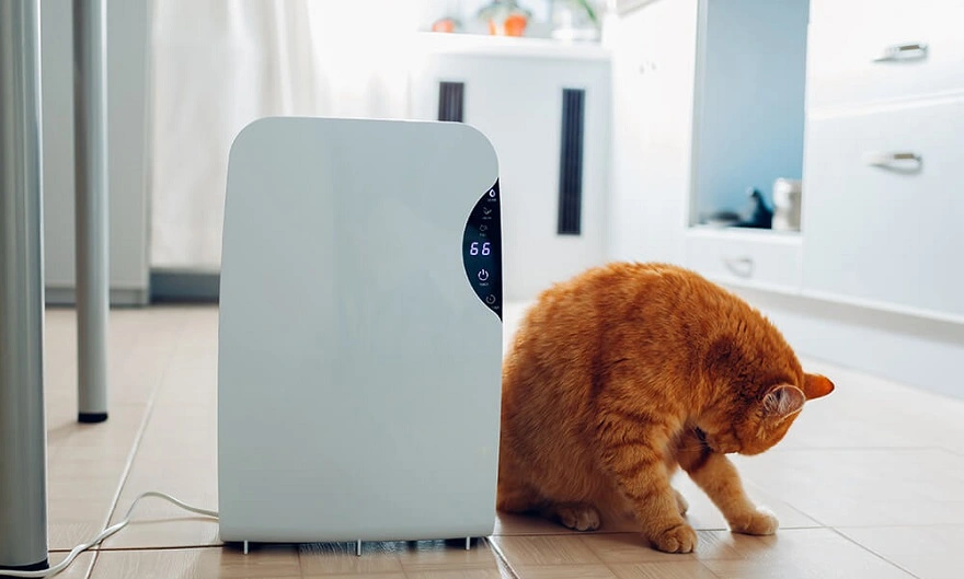 How E-commerce Solutions Can Transform Your Business